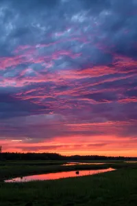 Salt Marshes Prints: Sunset skies over a salt marsh, Beresford, New Brunswick, Canada