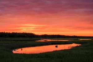 Salt Marshes Prints: Sunset skies over a salt marsh, Beresford, New Brunswick, Canada