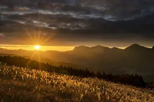 Pampas Prints: Sunset at Soni Highlands, East Nara Prefecture, Japan