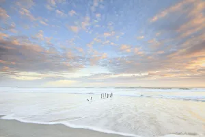 Images Dated 1st November 2019: Sunset at St Clair Beach, Dunedin, New Zealand