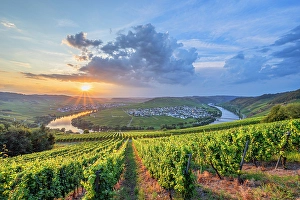 River Mosel Prints: Sunset at Trittenheim Mosel horseshoe bend, Rhineland-Palatinate, Germany