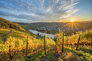 River Mosel Prints: Sunset at Trittenheim, Mosel, Mosel valley, Rhineland-Palatinate, Germany