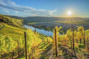 River Mosel Prints: Sunset at Trittenheim, Mosel, Mosel valley, Rhineland-Palatinate, Germany