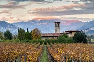 Autumn Season Collection: Sunset among the vineyards overlooking Mount Guglielmo, Brescia province, Lombardy