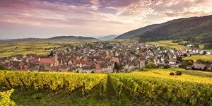 Images Dated 12th October 2015: Sunset over the vineyards surrounding Riquewihr, Alsace, France