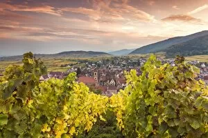 Images Dated 12th October 2015: Sunset over the vineyards surrounding Riquewihr, Alsace, France
