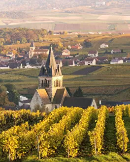 Sunset over the vineyards of Ville Dommange, Champagne Ardenne, France