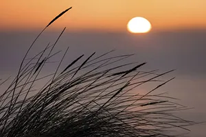Winter Sun Prints: Sunset on the west beach near Kampen, Sylt, Schleswig-Holstein, Germany