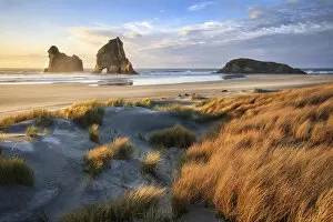 Grass Collection: Sunset at Wharariki beach, Tasman, New Zealand