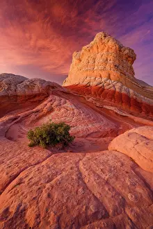 Sunset over White Pocket in Vermilion Cliffs National Monument, Arizona, USA