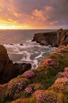 Sunset over the wildflower coloured cliffs of North Cornwall, England. Spring (May) 2021