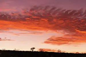 Game Reserve Prints: Sunset, , Zimanga Private Game Reserve, KwaZulu Natal, South Africa