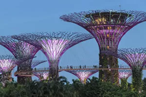 Tourists Gallery: Super Trees, Gardens by the Bay, Singapore City, Singapore
