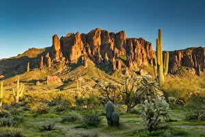 Saguaro Prints: Superstition Mountains, near Phoenix, Arizona, USA
