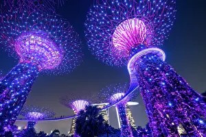 Singapore Prints: Supertree Grove, Gardens by the Bay, Singapore