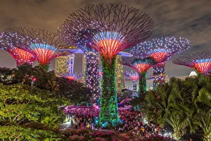 The Supertree Grove light show at Gardens by the Bay nature park, Singapore