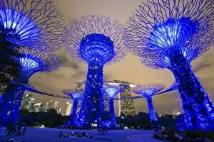 Images Dated 28th June 2017: Supertrees at Gardens by the Bay, illuminated at night, Singapore, Southeast Asia