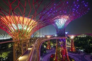 Images Dated 29th June 2017: Supertrees at Gardens by the Bay, illuminated at night, Singapore, Southeast Asia
