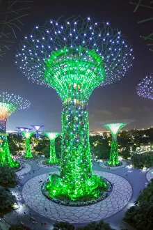 Images Dated 23rd August 2017: Supertrees at Gardens by the Bay, illuminated at night, Singapore, Southeast Asia