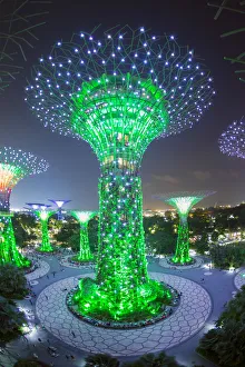 Images Dated 23rd August 2017: Supertrees at Gardens by the Bay, illuminated at night, Singapore, Southeast Asia