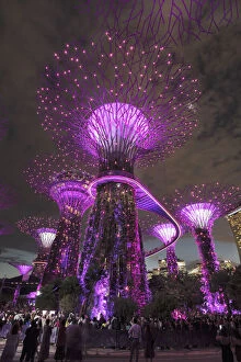 Tourists Gallery: Supertrees, Gardens by the Bay, Singapur City, Singapore City, Singapore