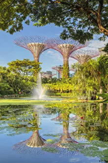 Images Dated 27th May 2021: Supertrees reflecting in a lake, Gardens by the Bay, Singapore City, Singapore, Asia