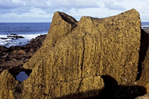 Rapa Nui Prints: The supine form of a finely chiselled moai or stone head