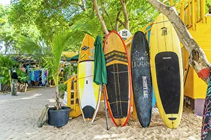 Barbados Prints: Surf Boards outside La Cabane Beach Restaurant, Batts Rock Bay Beach, Barbados, Caribbean