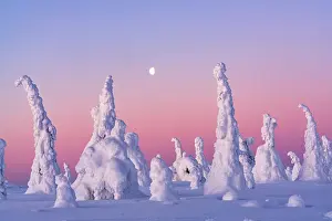 Moon Prints: Surreal ice sculptures lit by moon in a scenic pink sky at dawn
