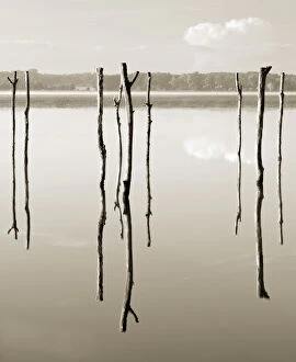 Images Dated 10th August 2011: 'Suspended in the air' - reflected in water remains of the old jetty on the lake Azur, Les Landes