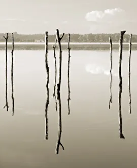 Deserted Collection: 'Suspended in the air' - reflected in water remains of the old jetty on the lake Azur, Les Landes