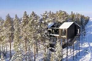Images Dated 31st October 2022: Suspended luxury wood suite built among treetops in the snow, Tree hotel, Harads, Lapland, Sweden
