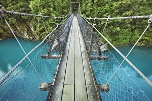 Temperate Rain Forest Prints: Suspension bridge - New Zealand, South Island, West Coast, Westland, Hokitika