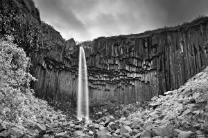 Altantic Prints: Svartifoss (The Black Falls)
Skaftafell National Park
Iceland