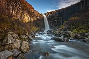 Columns Prints: Svartifoss waterfall at sunrise