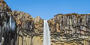 Basalt Prints: Svartifoss waterfall in winter, Skaftafell national park, East Iceland, Iceland