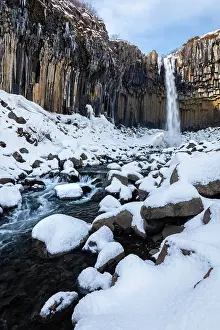 Columns Prints: Svartifoss waterfall in winter
