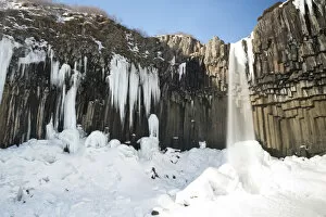 Freezing Gallery: Svartifoss in Winter, Iceland