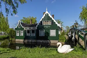 Zaanse Schans Prints: A swan sits in front of a traditional house, Zaanse Schans, North Holland, Netherlands