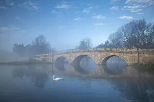 Images Dated 15th March 2021: Swans at Bladon Bridge, Blenheim Palace, Blenheim Park, Woodstock, Oxfordshire, England