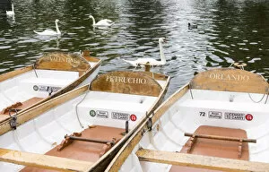 Swans, and rowing boats named after Shakespearean characters on the River Avon at Stratford-upon-Avon, Warwickshire