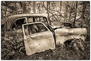 Black And White Collection: Sweden, Smaland, Ryd, Kyrko Mosse Car Cemetery, former junkyard now pubic park
