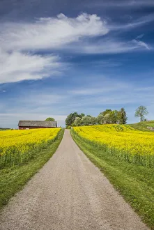 Sweden, Southeast Sweden, Bergs Slussar, springtime landscape with country road