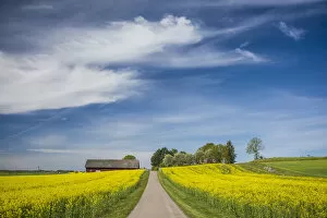 Images Dated 18th November 2019: Sweden, Southeast Sweden, Bergs Slussar, springtime landscape with country road