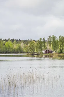 Sweden Prints: Sweden, Southeast Sweden, Skullaryd, lake view, springtime