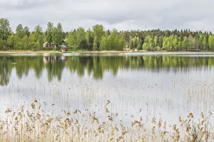 Sweden, Southeast Sweden, Skullaryd, lake view, springtime