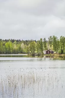 Sweden, Southeast Sweden, Skullaryd, lake view, springtime