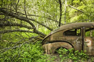 World Location Prints: Sweden, Varmland, Bastnas, Bastnas Car Cemetery public park, antique car junkyard