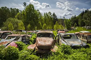 Sweden, Varmland, Bastnas, Bastnas Car Cemetery public park, antique car junkyard