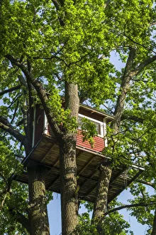 Images Dated 17th January 2020: Sweden, Vastmanland, Vasteras, Hotell Hackspett, tree house hotel by artist Mikael